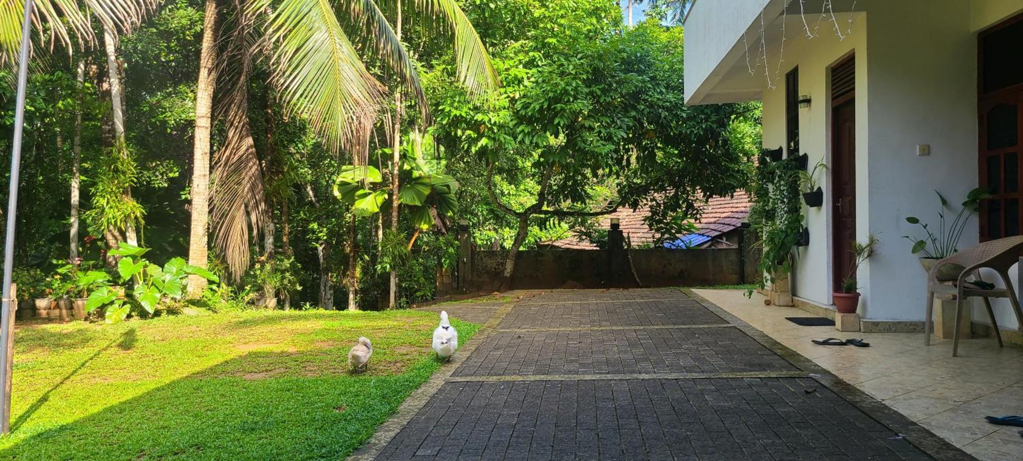 'Kolamba Gedara' Green Apartment Ruwanwella Exteriér fotografie